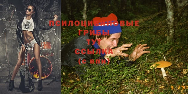 тгк Ельня