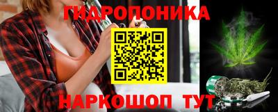 эйфоретик Аргун