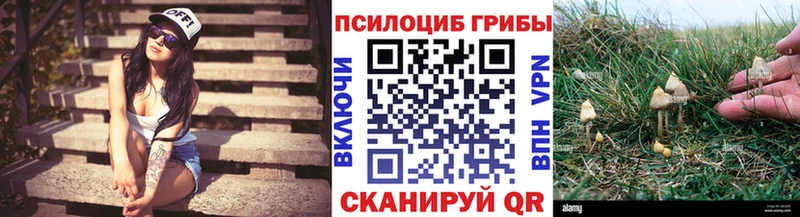 где можно купить   Апрелевка  площадка состав  Псилоцибиновые грибы Psilocybine cubensis 