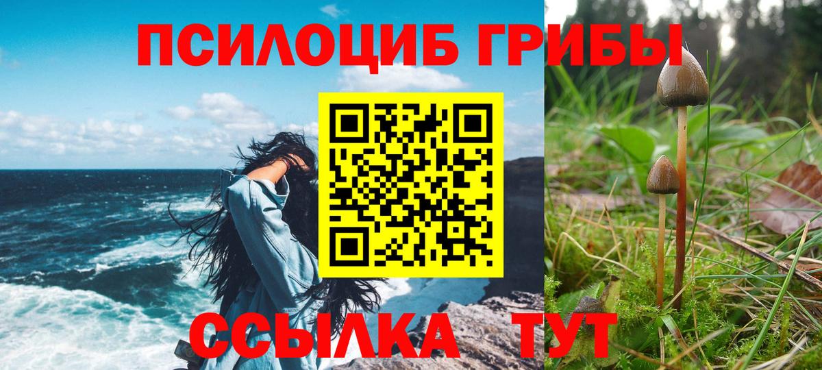 Галлюциногенные грибы мухоморы Апрелевка