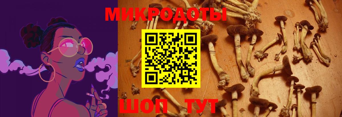 Галлюциногенные грибы мицелий  где продают наркотики  Галлюциногенные грибы мухоморы  Апрелевка 